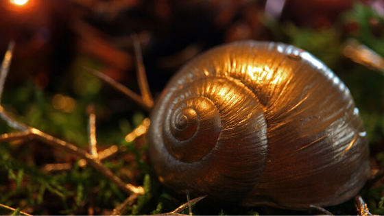 Langsamer ist schneller-sei eine Weihnachtschnecke